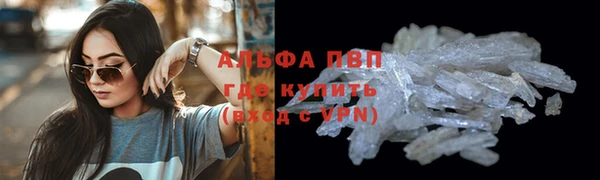 a pvp Алзамай