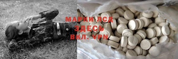 a pvp Алзамай